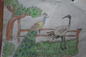 2018-03-16-PHOTO-00000011