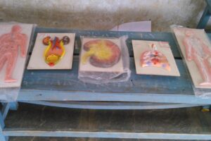 DSC_0013_3-2048x1152 DSC_0013_3-2048x1152