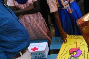 DSC_0013_4-1152x2048 DSC_0013_4-1152x2048