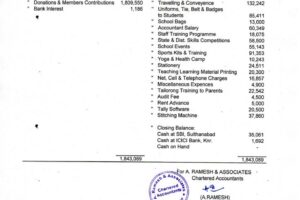 EF-Audit-Report-2017-18-Pg.3-724x1024