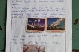 Environment_ProjectWork_1