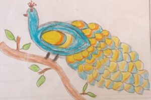 WhatsApp-Image-2020-03-22-at-8.06.01-PM-2