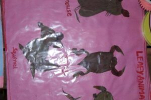creative-art-3-576x1024
