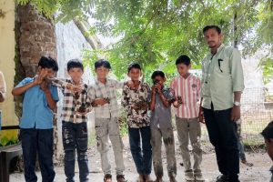 Bail Pola Celebrations – September 2026 (1) Bail Pola Celebrations – photo 1